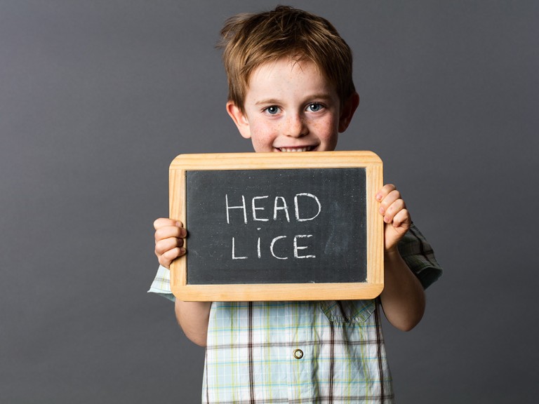The Truth (& Myths) About Head Lice