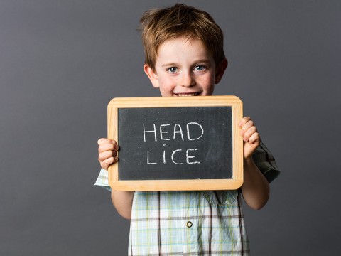 Smiling child with auburn hair holding chalkboard with head lice written on it